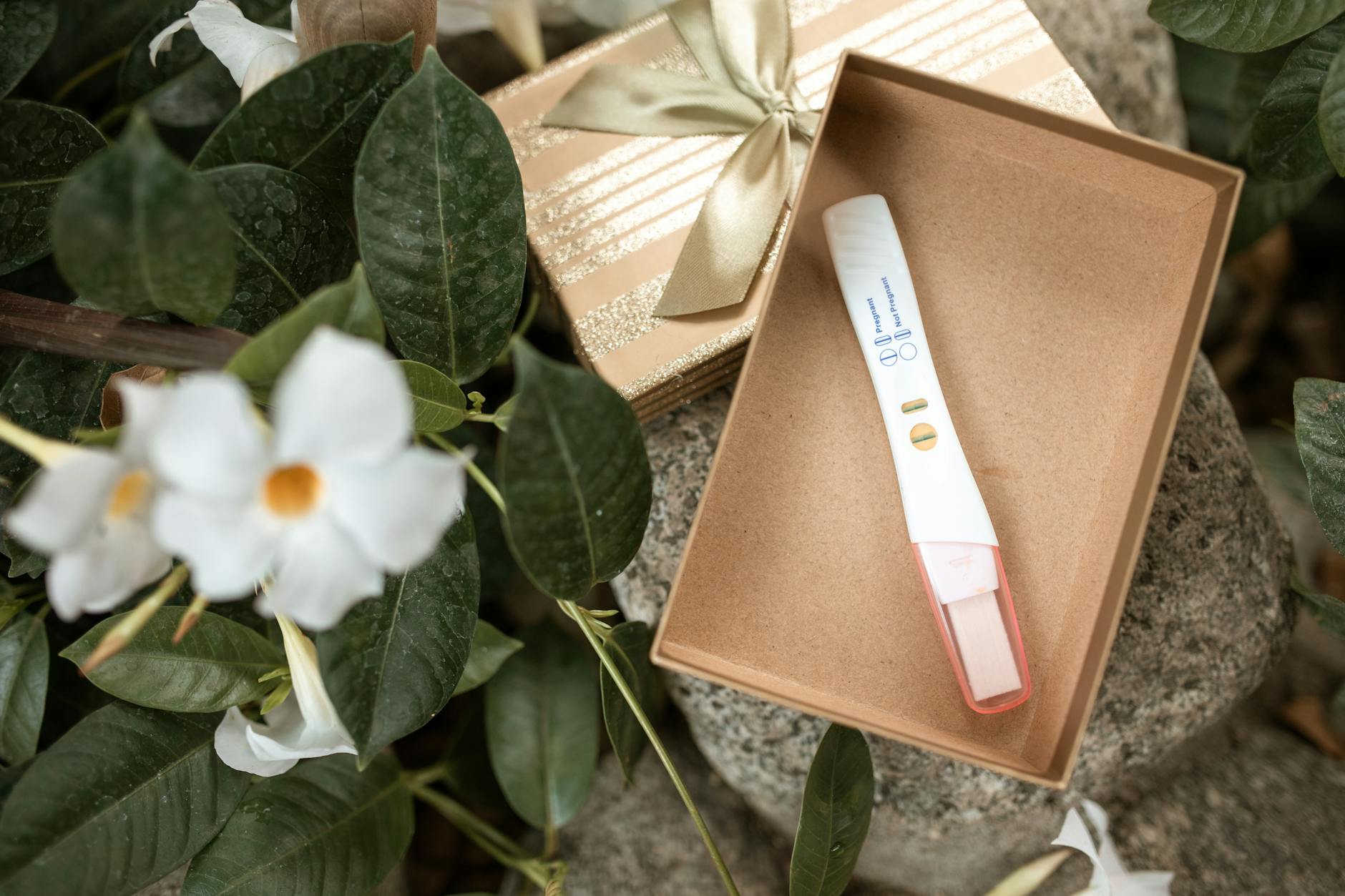 Trying to Conceive: My Honest Journey + The Simple Daily Habits That Helped Me Feel Hopeful Again